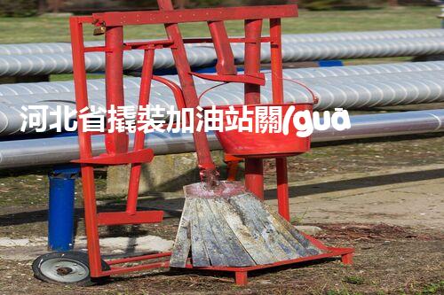 河北省撬裝加油站關(guān)鍵技術(shù)突破！化工廠拆除工程的新方法探索？